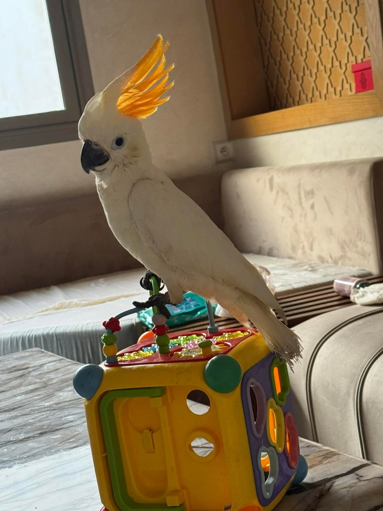 Casper